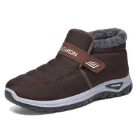 Brown 2